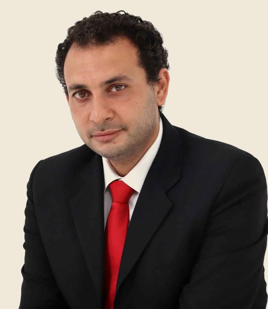 صورة رسمية للمستشار مايكل بسادة